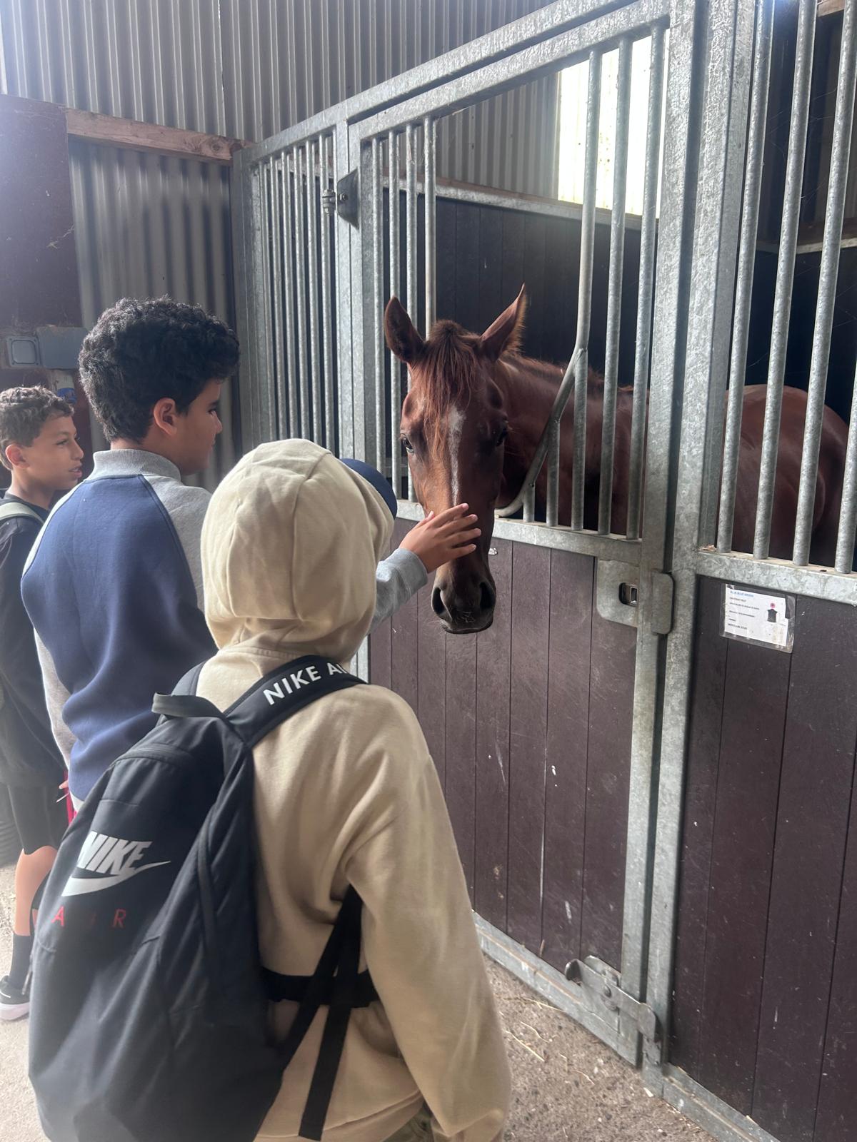 Students visiting the National Stud horse stables